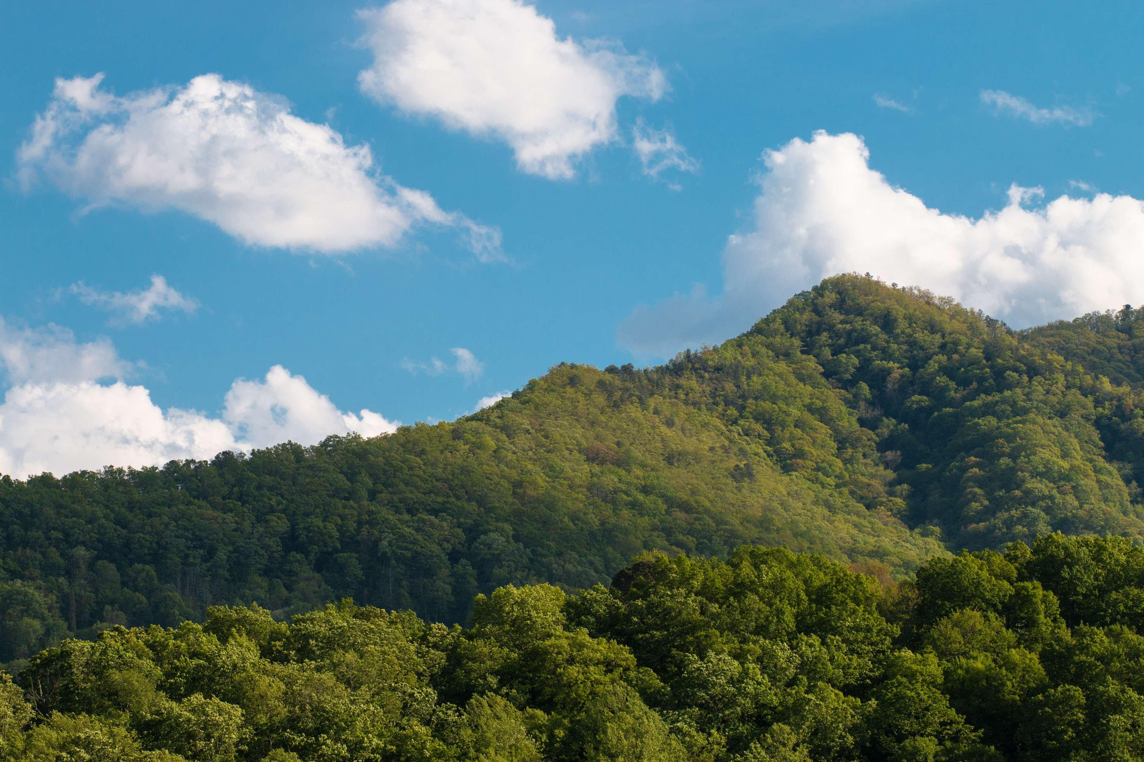 Best Western Smoky Mountain Inn Waynesville Exterior foto